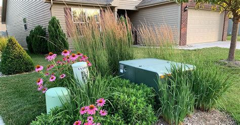 can you plant around electrical boxes|landscaping to hide utility box.